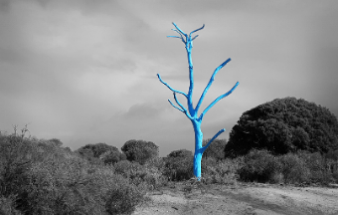 Blue Tree Project for Mental Health Week 